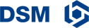 Logo da empresa DSM